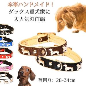 ZOOleszcz ゾーレシチ 犬用 首輪 首回り: 35-41cm 幅: 2cm ダックス