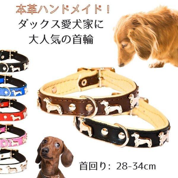 ZOOleszcz ゾーレシチ 犬用 首輪 首回り: 28-34cm  幅: 1.6cm ダックスフ...