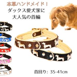 ZOOleszcz ゾーレシチ 犬用 首輪 首回り: 28-34cm 幅: 1.6cm ダックス