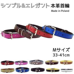 カラフルフェイクレザー犬用首輪　7本セット Mサイズ 犬用 ソフト丸首輪 7号 (グリーン) 本革首輪 : ズンズンペット