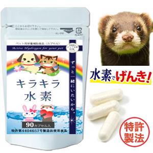フェレットに 水素サプリ ペット用 キラキラ水素90入 高齢フェレット 介護 ペットフード ふりかけ...