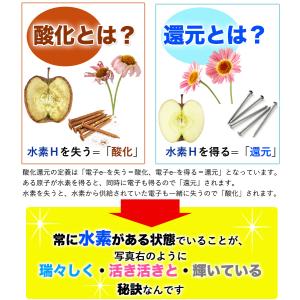初回限定 お1人様1回限り 純国産 品質保証 ...の詳細画像3
