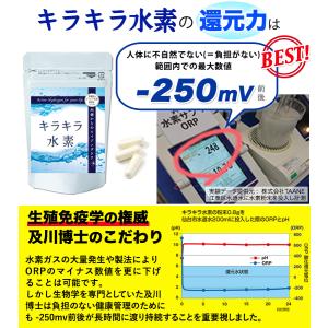 初回限定 お1人様1回限り 純国産 品質保証 ...の詳細画像5