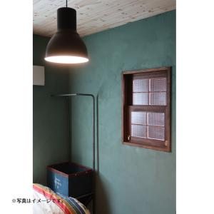 室内窓 上げ下げ窓 W600×H800mm 自...の詳細画像2