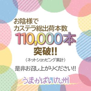 訳あり 菓子 本場 長崎 カステラ 蜂蜜味 型...の詳細画像1
