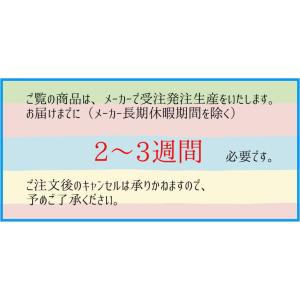 ボウリング ボウリングウェア ABS 300ポ...の詳細画像4