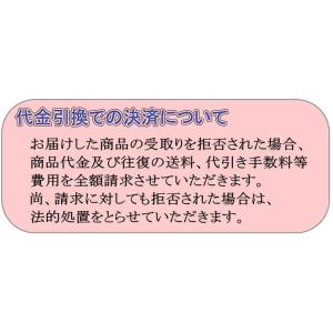 ボウリング ボウリングウェア T×SPORTS...の詳細画像5