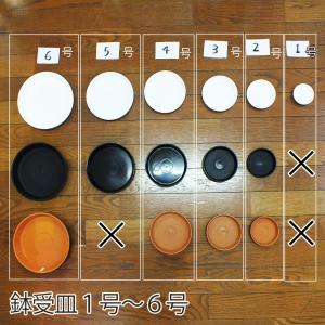 観葉植物 おしゃれ 鉢皿 1号 受け皿 プラス...の詳細画像1