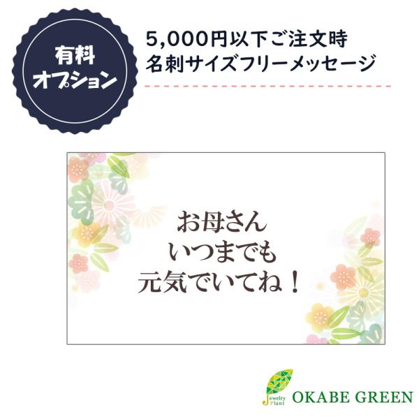 【有料メッセージサービス】 5000円以下ご注文時 フリーメッセージ 名刺サイズ ラッピング 贈り物...