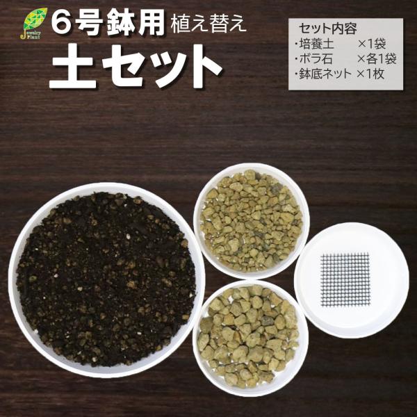 観葉植物 土 室内 植え替え土セット 培養土 6号鉢用 底ネット ボラ石 底石 おしゃれ 送料無料 ...