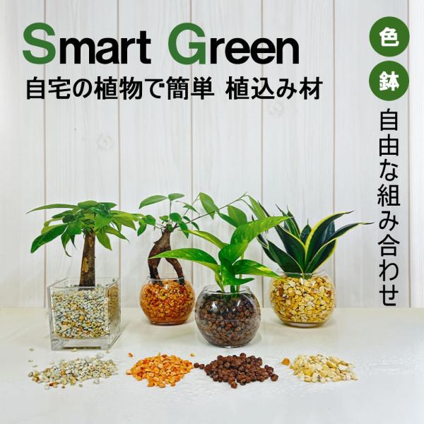 観葉植物 土なし ハイドロカルチャー 植え替え 4号用 ハイドロボール 観葉植物 植え替え 室内用 ...