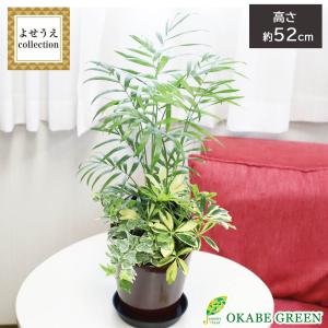 観葉植物 寄せ植え 6号 テーブルヤシ アイビー...の商品画像