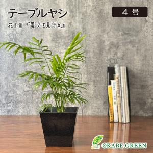 観葉植物 おしゃれ 大型 ゴムの木 フィカス アルテシマ 幹曲がり
