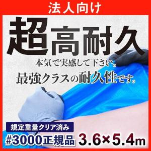 ブルーシート 3000 3.6m×5.4m 日本最強品質(正規品) 高耐久 バージン材 厚手 防水 サイズ表 サイズ一覧 法人 団体向け ハトメ 保護カバー 保護シート｜okacho-store