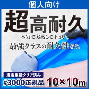 ブルーシート 3000 10m×10m 日本最強品質(正規品) 高耐久 厚手 防水 規格 サイズ表 サイズ一覧 1枚 保護カバー 保護シート｜okacho-store