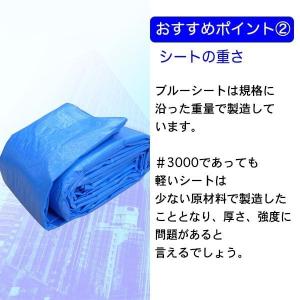 【個人向け】ブルーシート#3000 15m×1...の詳細画像3