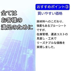 【個人向け】ブルーシート#3000 15m×1...の詳細画像4