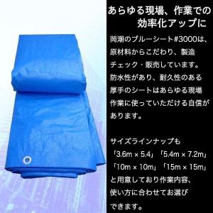 【法人限定】ブルーシート#3000 3.6m×...の詳細画像4