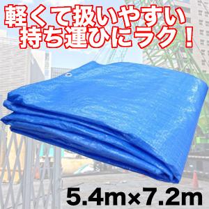 個人向け】ブルーシート＃3000 10m×10mサイズ 厚手防水 : 岡潮 