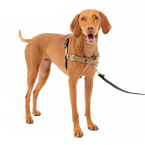 PetSafe イージーウォークハーネス