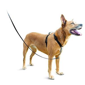 PetSafe 3 in 1 犬 ハーネス 中型犬 引っ張り防止 調整簡単 抜けない 耐久性が高い 夜間反射 車の中で安全