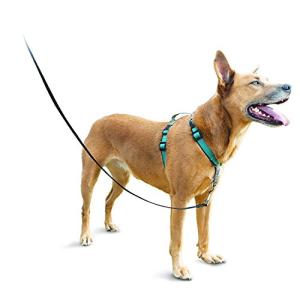 PetSafe 3 in 1 犬 ハーネス 中型犬 引っ張り防止 調整簡単 抜けない 耐久性が高い 夜間反射 車の中で安全 ティール