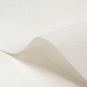 ＼期間限定10%OFF/ 芯地 ロイヤル不織布...の詳細画像3