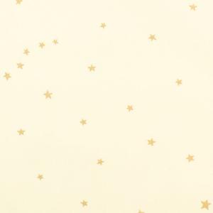 生地 ブロードラメプリント 星（KTS7130） 101.アイボリー 09Bk23_