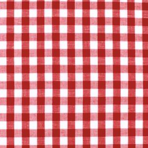 ＼期間限定10%OFF/ 生地 ギンガムチェック...の商品画像