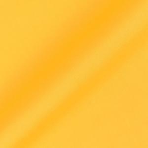＼期間限定10%OFF/ 生地 カラーブロード(...の商品画像