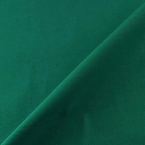 ＼期間限定10％OFF／ 生地 シーチング（AD10000L） 179.青緑 09Bm30_