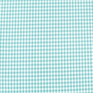 ＼期間限定10％OFF／ 生地 交織ダンガリー チェック 小（AD46300） 85.ミントグリーン 09Bk22_