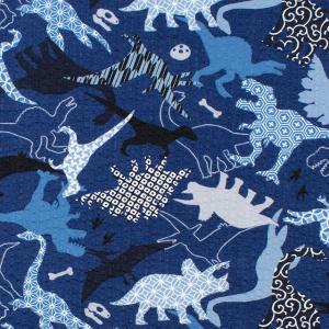 生地 和柄リップルプリント 恐竜(AP62108...の商品画像