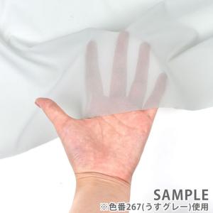 ＼期間限定10%OFF/ 接着芯 ダンレーヌ(...の詳細画像3