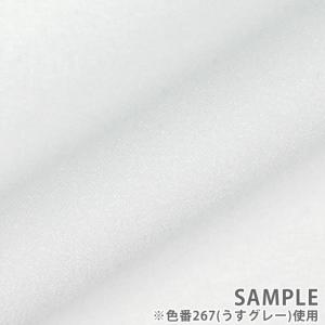 ＼期間限定10%OFF/ 接着芯 ダンレーヌ(...の詳細画像4