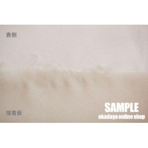 ＼期間限定10%OFF/ 接着芯 ダンレーヌ(...の詳細画像2