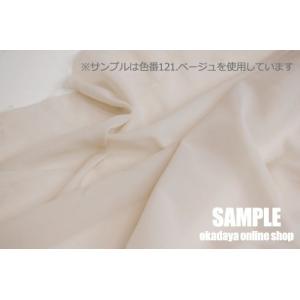 ＼期間限定10%OFF/ 接着芯 ダンレーヌ(...の詳細画像4