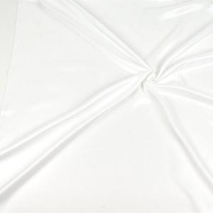 ＼期間限定10%OFF/ 裏地 ペンターVスペ...の詳細画像1