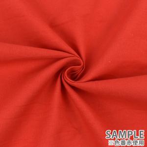＼期間限定10%OFF/ 生地 てぬぐい 色無...の詳細画像2