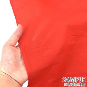 ＼期間限定10%OFF/ 生地 てぬぐい 色無...の詳細画像3