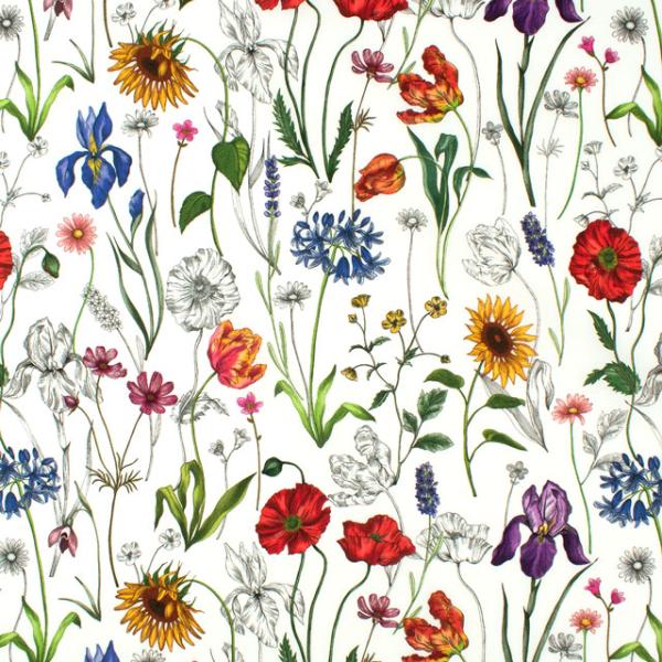 生地 LIBERTY FABRICS  タナローン 2025SS Retold 150th Anni...