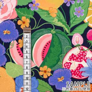 生地 LIBERTY FABRICS タナロー...の詳細画像2