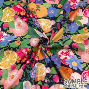 生地 LIBERTY FABRICS タナロー...の詳細画像3