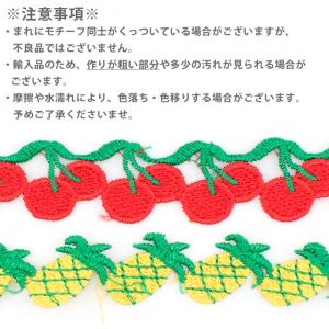 ケミカルレース フルーツ(axl-25-608...の詳細画像5
