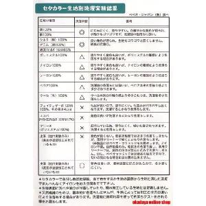 ＼期間限定20%OFF/ 布用水性絵具 ペベオ...の詳細画像1