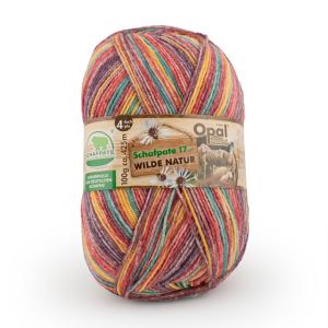 毛糸 Opal-オパール- シャーフパーテ17 4ply/4本撚り 11590.散策 06Co99j