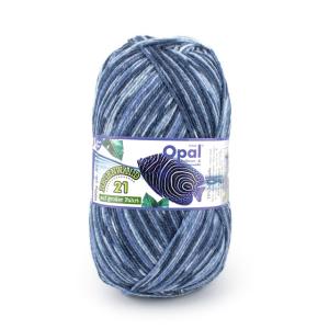 毛糸 Opal-オパール- レーゲンヴァルト21 4ply/4本撚り 11607.ウズマキ