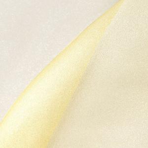 ＼期間限定10%OFF/ オーガンジー生地 スパ...の商品画像
