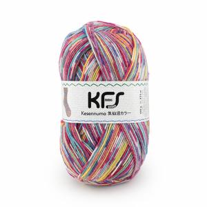 毛糸 Opal-オパール- 気仙沼カラー 4ply/4本撚り KFS138.祭 06Co99j