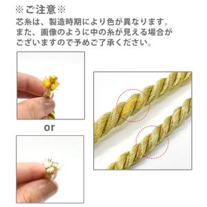 ＼期間限定20%OFF/ コード(2900) ...の詳細画像2